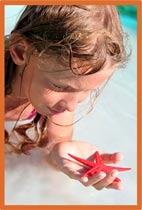 Girl holding starfish photo
